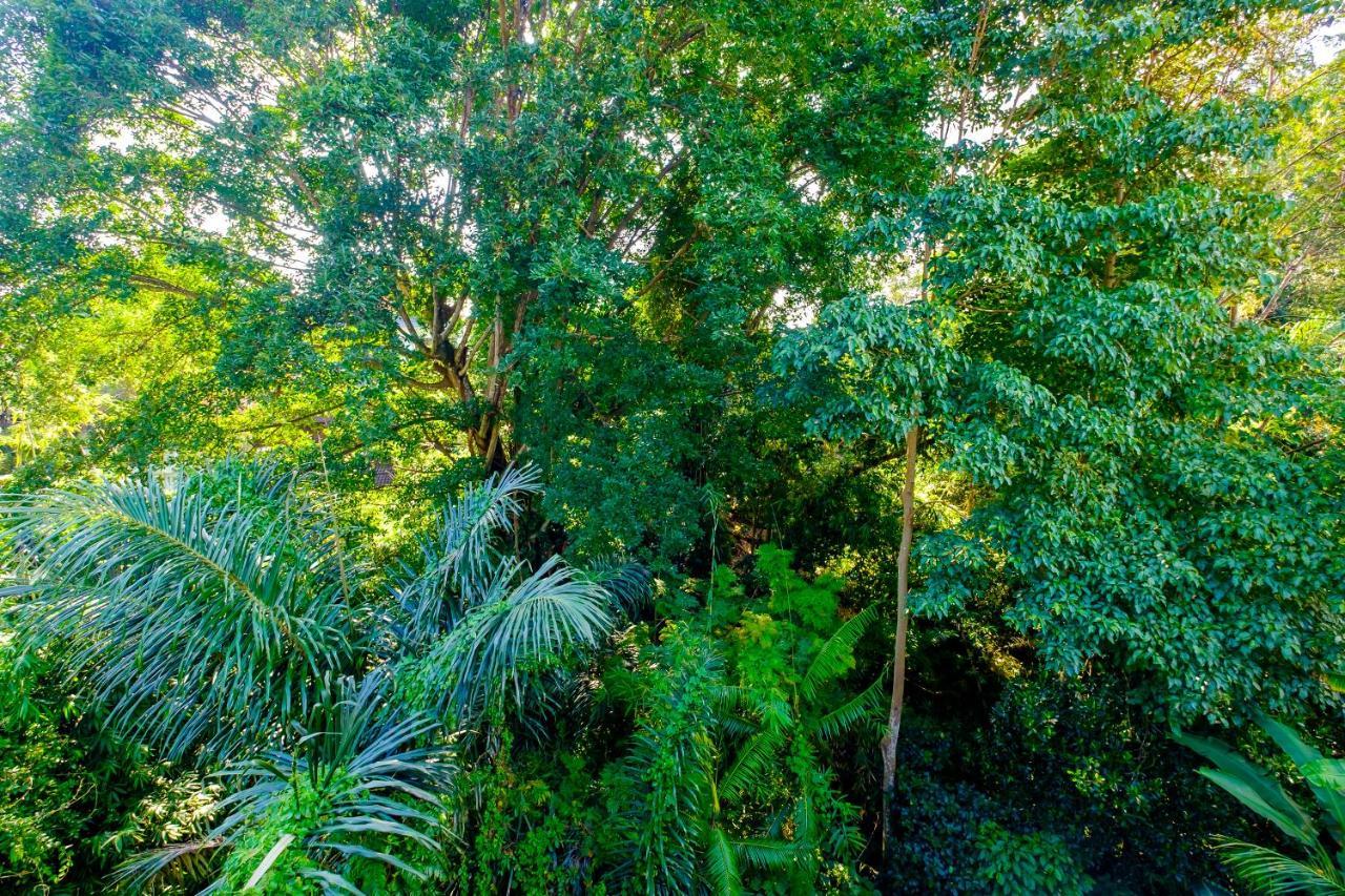 Bali Ubud Harmony Buitenkant foto